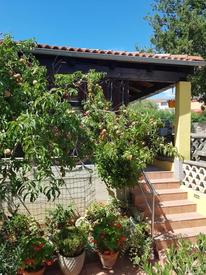 Apartmani Grguric Kornić Buitenkant foto