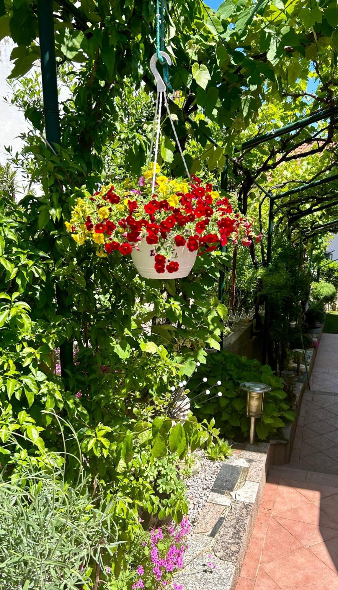 Apartmani Grguric Kornić Buitenkant foto
