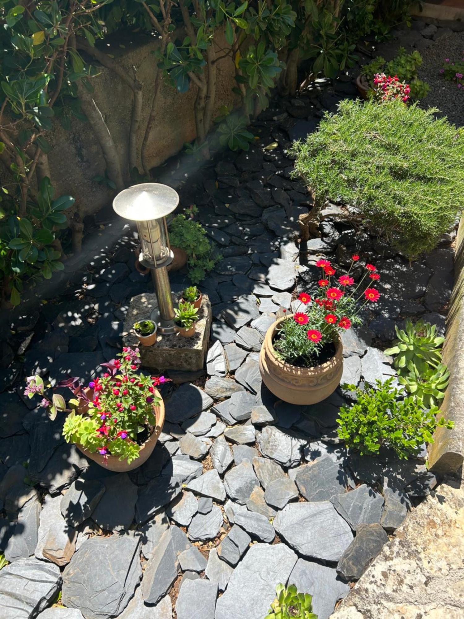 Apartmani Grguric Kornić Buitenkant foto