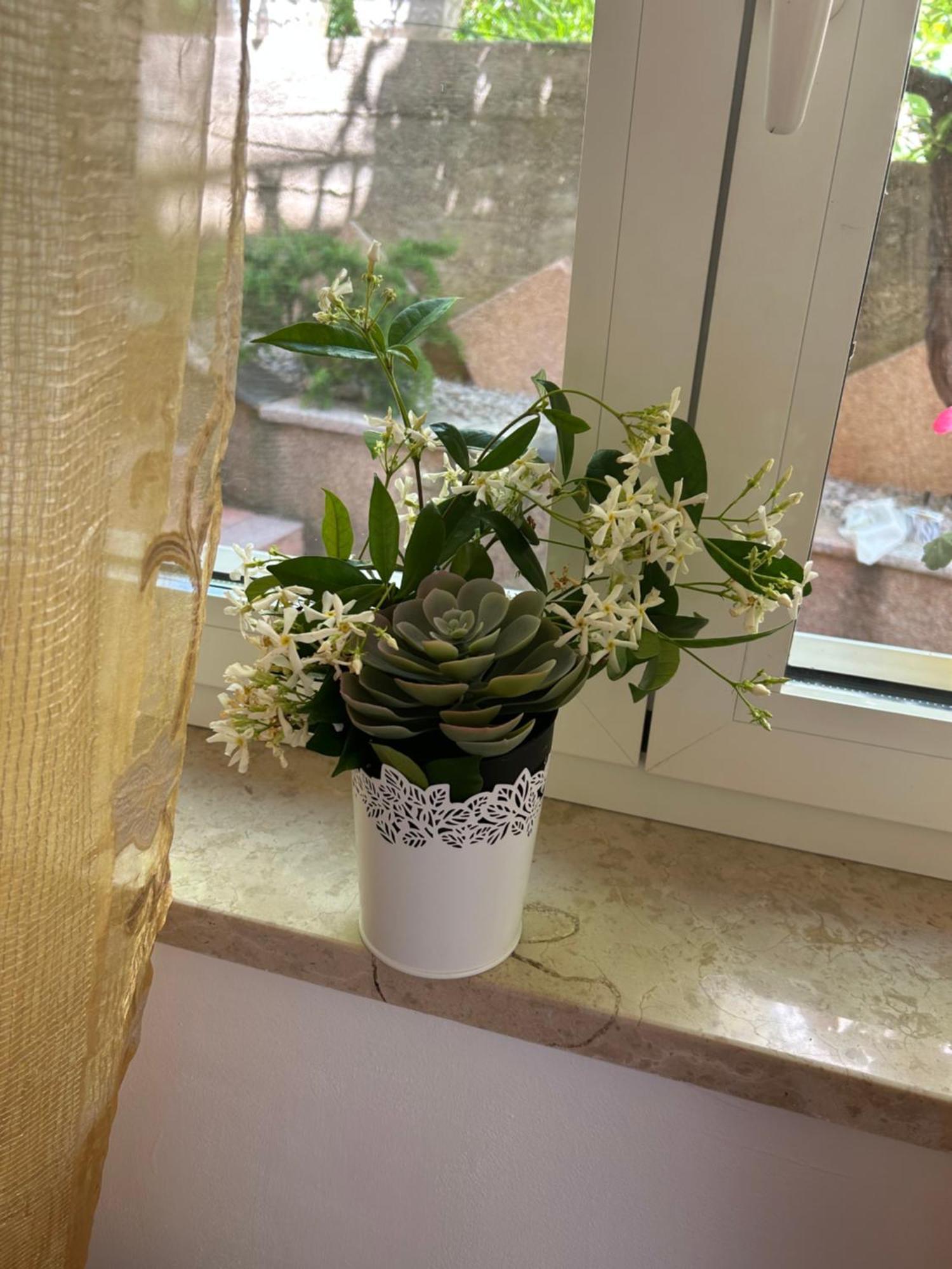 Apartmani Grguric Kornić Buitenkant foto